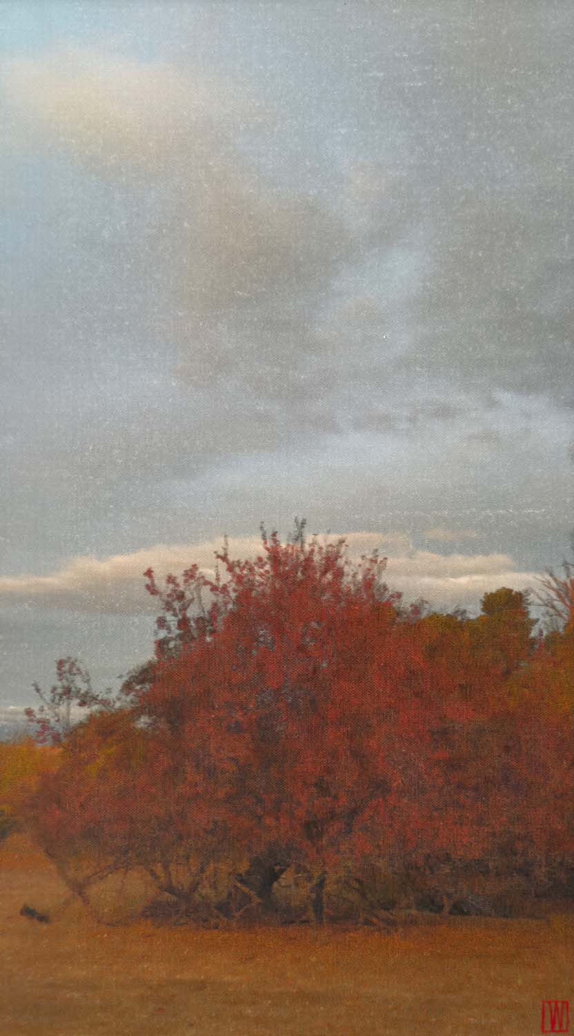 Days accumulate softly, oil on linen, 76x41cm 2026