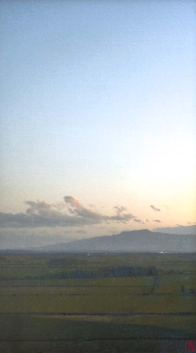 Night settles without ceremony, dark arrives as expected, no announcement, oil on linen, 76x41cm 2026