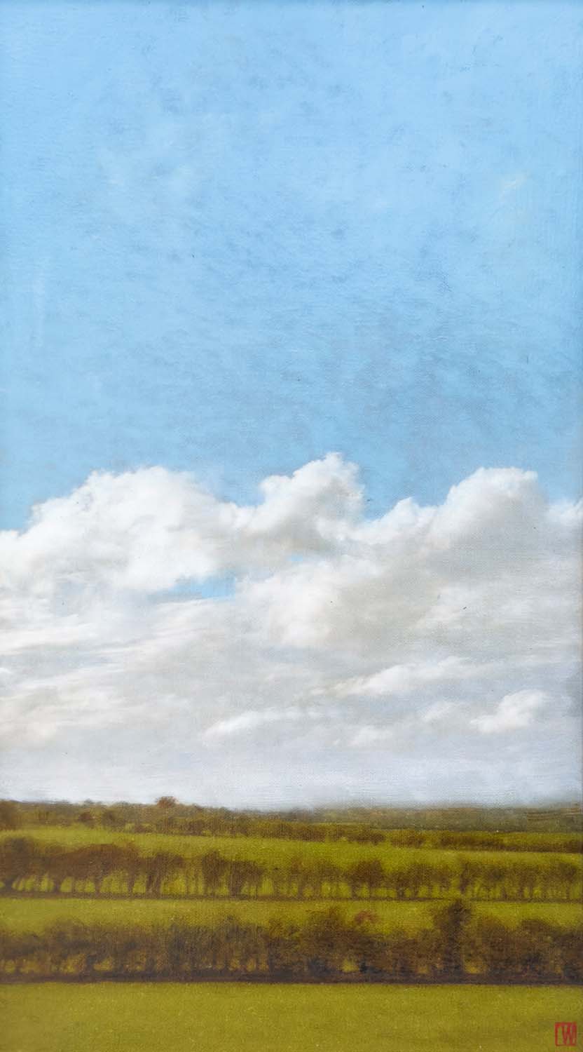 The plains resist spectacle, oil on linen, 76x41cm 2026