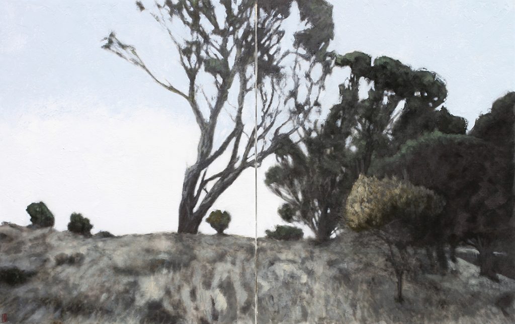 Secret Garden, Tasman Island, oil on linen 77x122cm