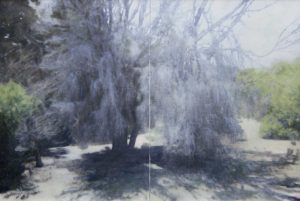 The Chaplins Garden, Wybalena, Flinders Island, Luke Wagner 2020