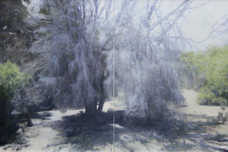 The Chaplins Garden, Wybalena, Flinders Island, Luke Wagner 2020