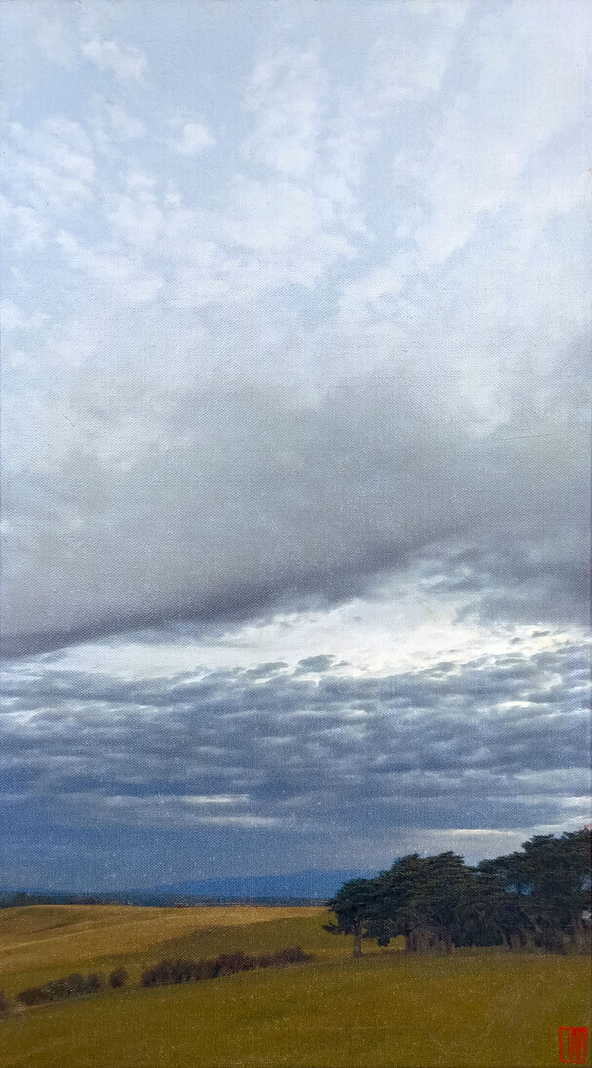 Fugitive light of dusk, oil on linen, 76x41cm 2024