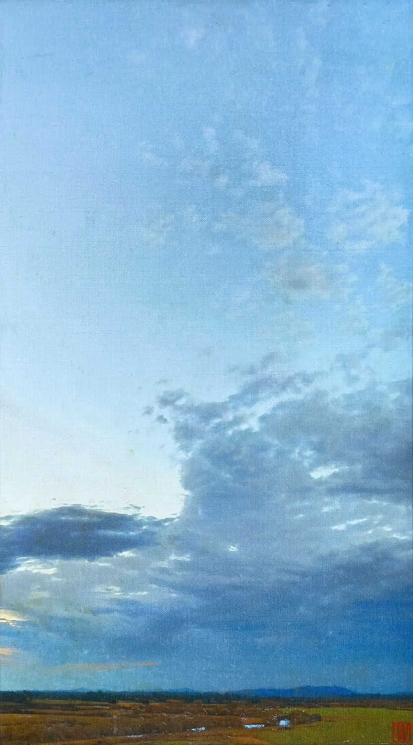 Some air of morning, oil on linen, 76x41cm 2024